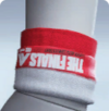 Epic CLOSED BETA WRISTER.png
